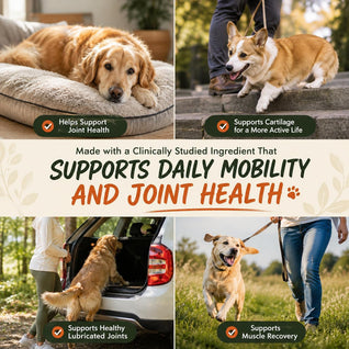 MOBDOG-Hip & Joint Care Supplement