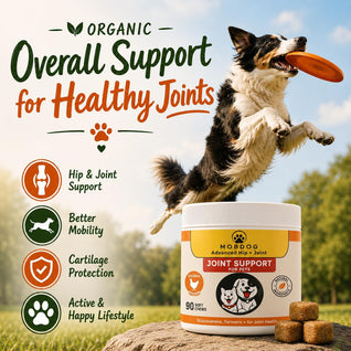 MOBDOG-Hip & Joint Care Supplement