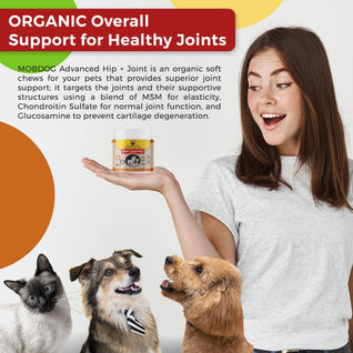 MOBDOG-Hip & Joint Care Supplement