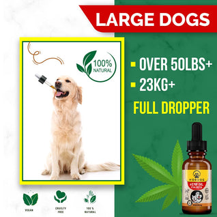 MOBDOG Hemp Oil