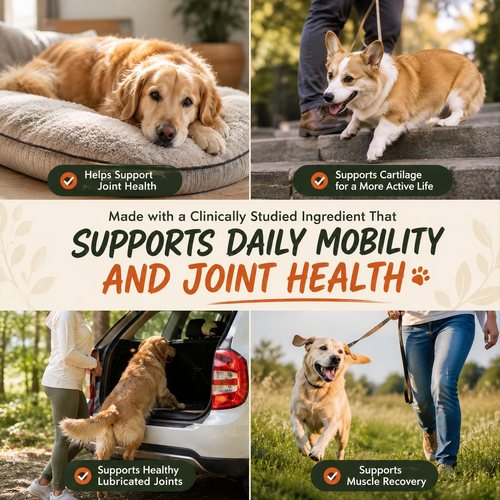 MOBDOG Hip & Joint Chews for Dogs – 90 Chicken Flavour Soft Chews for Senior Dogs