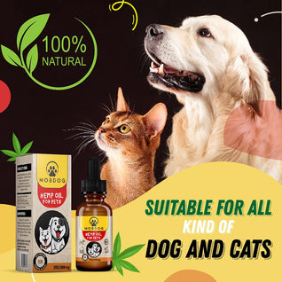 MOBDOG Hemp Oil