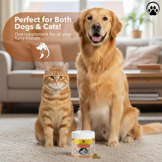 MOBDOG-Hip & Joint Care Supplement